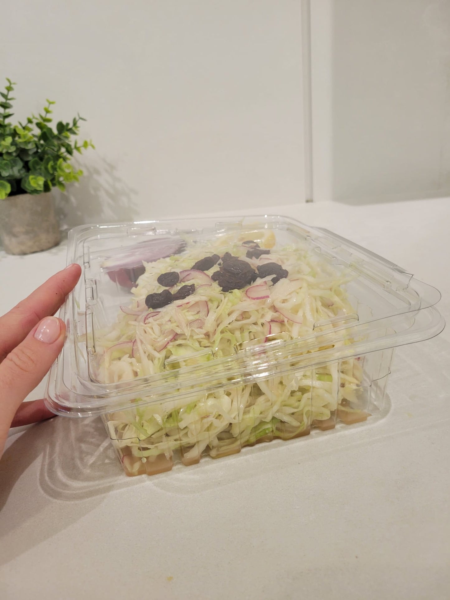 Tamper Evident Container 48 oz. 10/pk